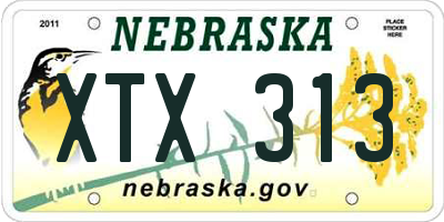 NE license plate XTX313