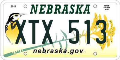 NE license plate XTX513