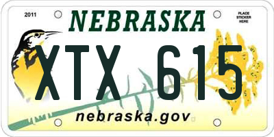 NE license plate XTX615