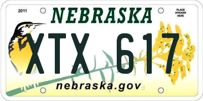 NE license plate XTX617