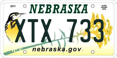 NE license plate XTX733