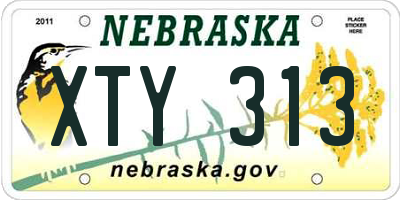 NE license plate XTY313