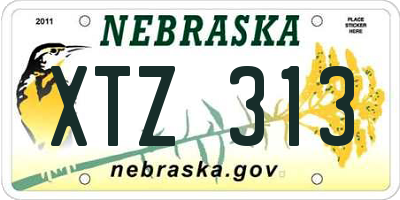 NE license plate XTZ313