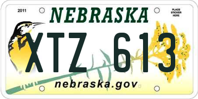 NE license plate XTZ613