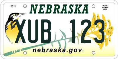 NE license plate XUB123