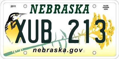 NE license plate XUB213