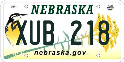 NE license plate XUB218