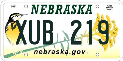NE license plate XUB219