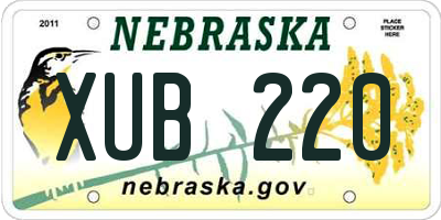 NE license plate XUB220