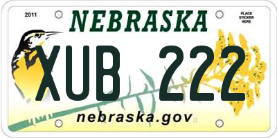 NE license plate XUB222