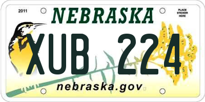 NE license plate XUB224