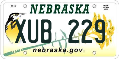 NE license plate XUB229