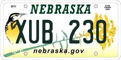 NE license plate XUB230