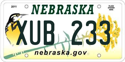 NE license plate XUB233