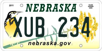 NE license plate XUB234