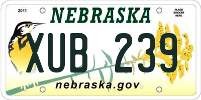 NE license plate XUB239