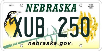 NE license plate XUB250