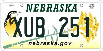 NE license plate XUB251
