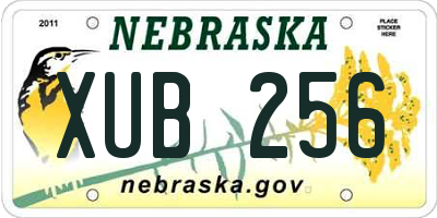 NE license plate XUB256