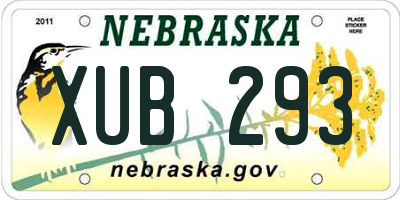 NE license plate XUB293