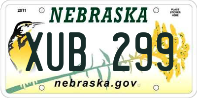 NE license plate XUB299