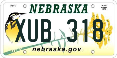 NE license plate XUB318