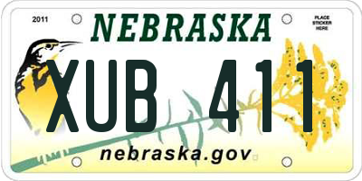 NE license plate XUB411