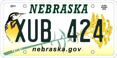 NE license plate XUB424
