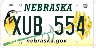 NE license plate XUB554