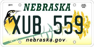 NE license plate XUB559