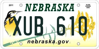 NE license plate XUB610