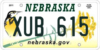NE license plate XUB615