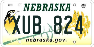 NE license plate XUB824