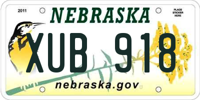 NE license plate XUB918