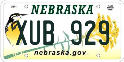 NE license plate XUB929