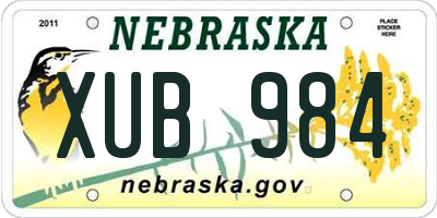 NE license plate XUB984