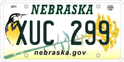 NE license plate XUC299