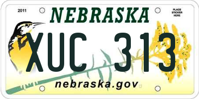 NE license plate XUC313