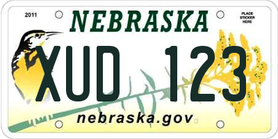 NE license plate XUD123