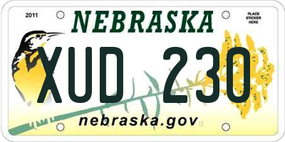 NE license plate XUD230