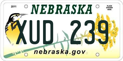 NE license plate XUD239