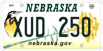 NE license plate XUD250