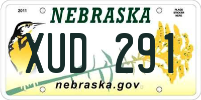 NE license plate XUD291