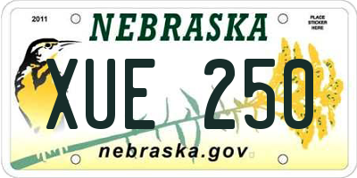 NE license plate XUE250