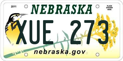NE license plate XUE273