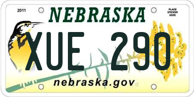 NE license plate XUE290