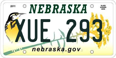 NE license plate XUE293