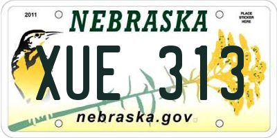 NE license plate XUE313
