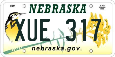 NE license plate XUE317