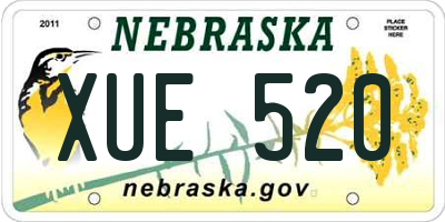 NE license plate XUE520